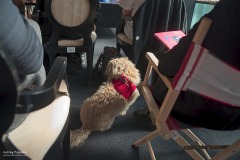 480967341_9743006622387953_3946284493495838861_n