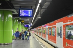 1DS_8207