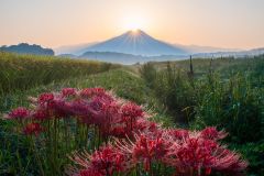 343265910_212802794827894_1622274153264100675_n