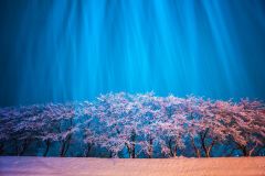 343508771_1275086486550332_2692479173416110273_n