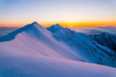 343532747_144858685232780_2272618358146154434_n