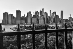 DSC_1714